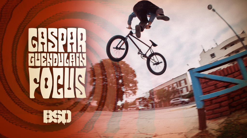 bsd-gasparguendulain-focus-