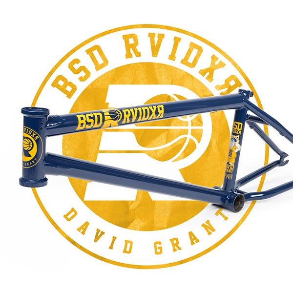 bsd raider v3