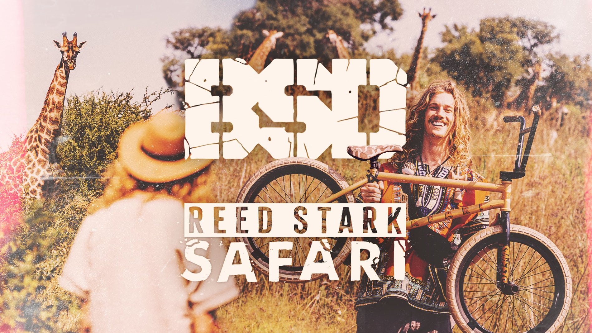 Reed Stark - SAFARI