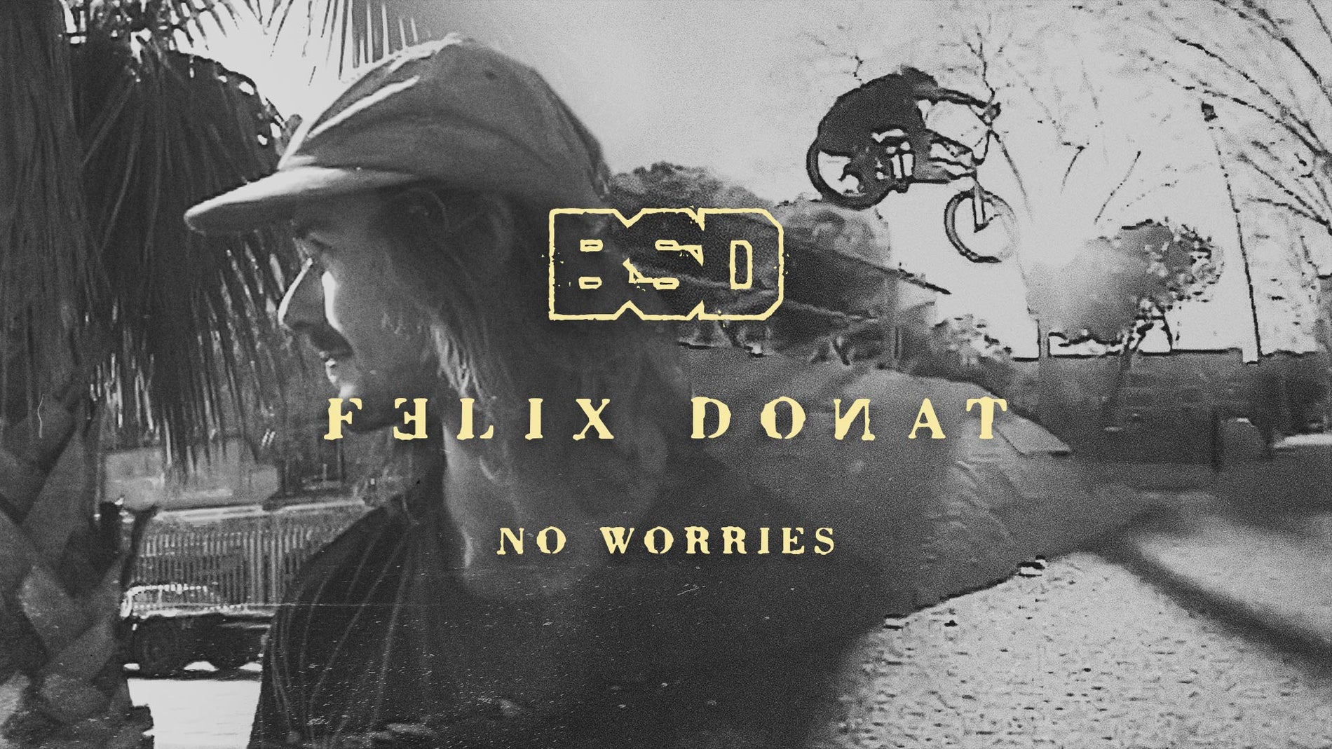 Felix Donat No Worries