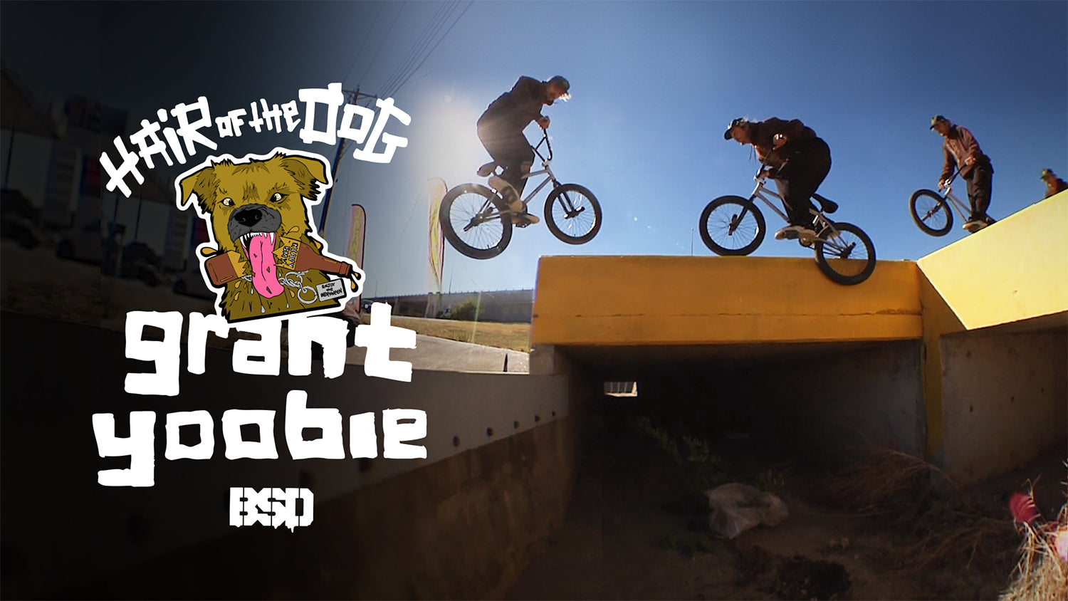 GRANT YOOBIE HAIR OF THE DOG VIDEO PART