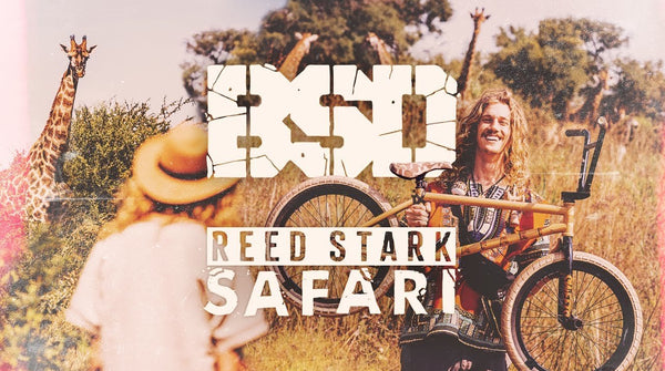 Reed Stark – SAFARI video…