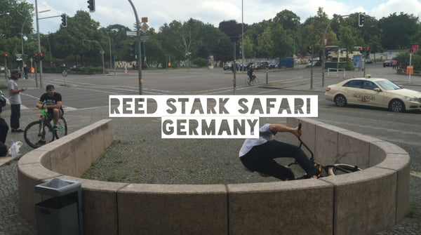 Reed in Germany…